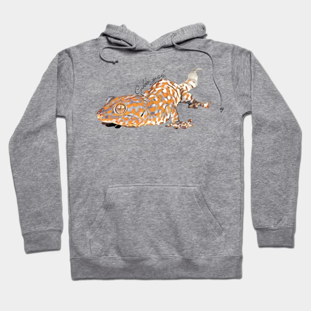 Tokay gecko with scientific name Hoodie by austinmg